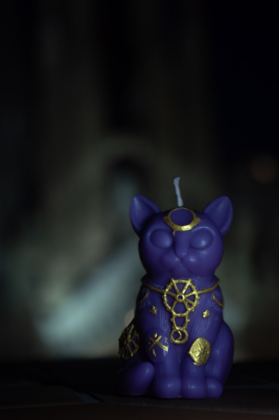 Gato místico